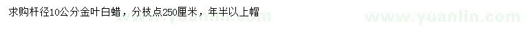 求購10公分金葉白蠟