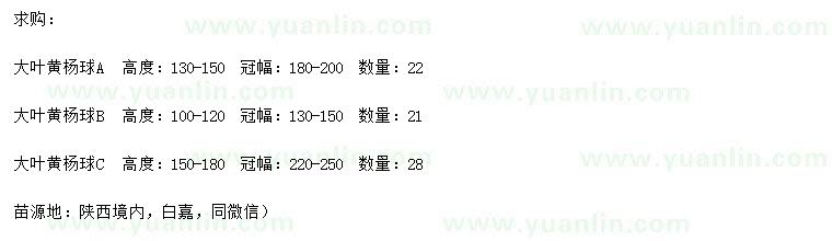 求購(gòu)高100-120、130-150、150-180公分大葉黃楊球