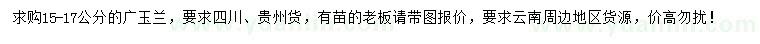 求購15-17公分廣玉蘭