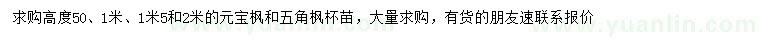 求購(gòu)高0.5、1、1.5、2米元寶楓、五角楓