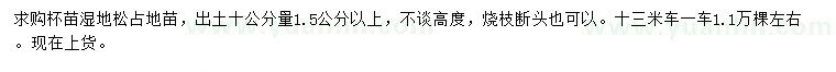 求購10公分量1.5公分以上濕地松