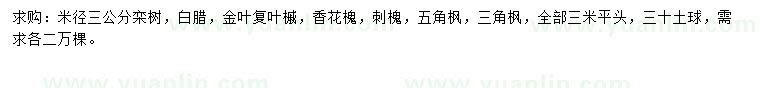 求購欒樹、白蠟、金葉復葉槭等