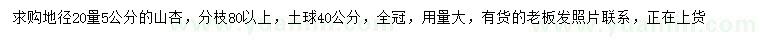 求購(gòu)20量5公分山杏