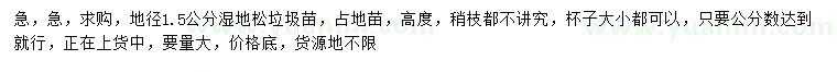 求購(gòu)地徑1.5公分濕地松