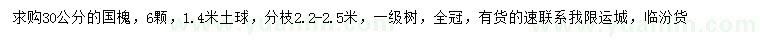 求購30公分國槐