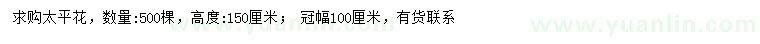 求購高150公分太平花