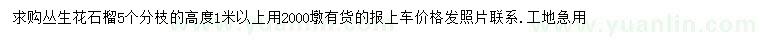 求購(gòu)高1米以上叢生花石榴