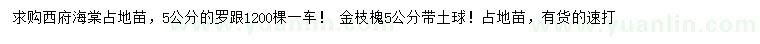 求購5公分西府海棠、金枝槐