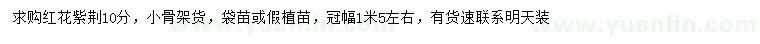 求購10公分紅花紫荊