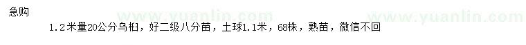 求購(gòu)1.2米量20公分烏桕