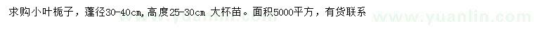 求購(gòu)高25-30公分小葉梔子