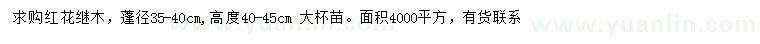 求購高40-45公分紅花繼木