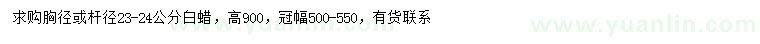 求購胸徑23-24公分白蠟
