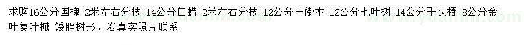 求購(gòu)國(guó)槐、白蠟、馬褂木等