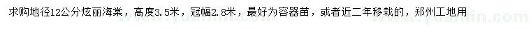 求購地徑12公分炫麗海棠