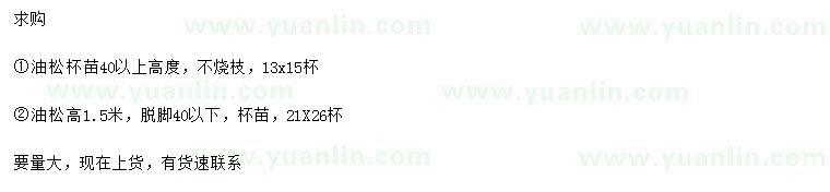 求購(gòu)高0.4、1.5米油松