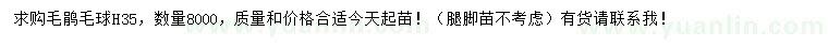 求購高35公分毛鵑球