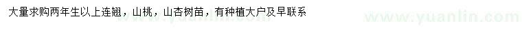 求購連翹、山桃、山杏