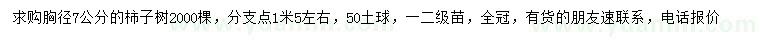 求購(gòu)胸徑7公分柿子樹