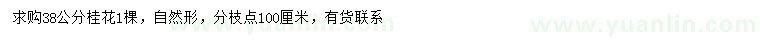 求購(gòu)38公分桂花