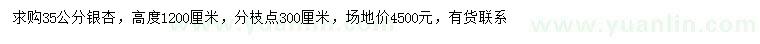 求購(gòu)35公分銀杏