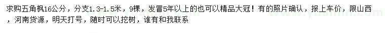 求購16公分五角楓
