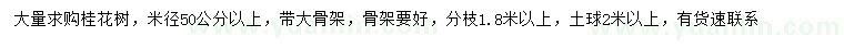 求購米徑50公分以上桂花