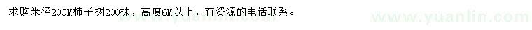 求購米徑20公分杮子樹