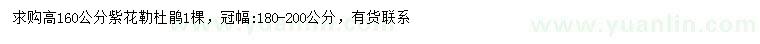 求購(gòu)高160公分紫花勒杜鵑