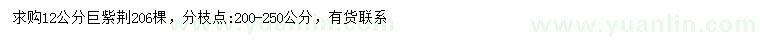 求購(gòu)12公分巨紫荊