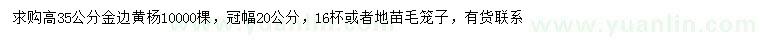 求購高35公分金邊黃楊