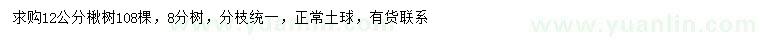 求購12公分楸樹