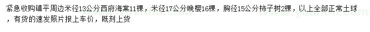 求購西府海棠、晚櫻、柿子樹
