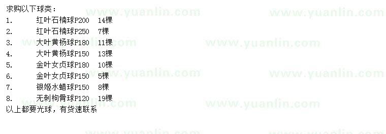 求購紅葉石楠球、大葉黃楊球、金葉女貞球等