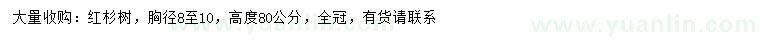 求購胸徑8-10公分紅杉