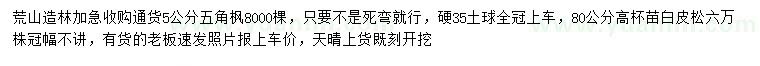 求購(gòu)5公分五角楓、高80公分白皮松