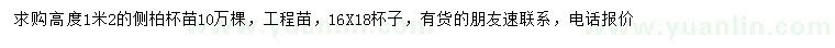 求購(gòu)高1.2米側(cè)柏