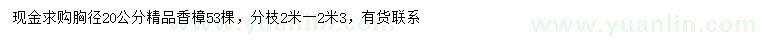 求購胸徑20公分香樟