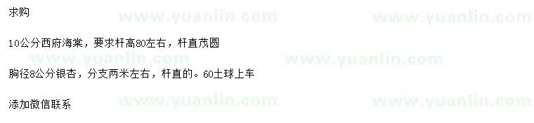 求購10公分西府海棠、胸徑8公分銀杏