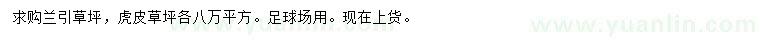 求購蘭引草坪、虎皮草坪