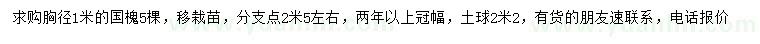 求購(gòu)胸徑1米國(guó)槐