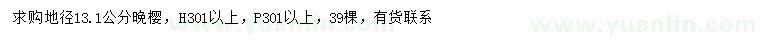 求購(gòu)地徑13.1公分晚櫻