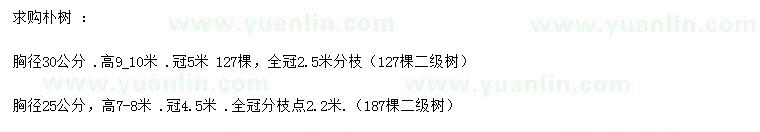求購胸徑25、30公分樸樹