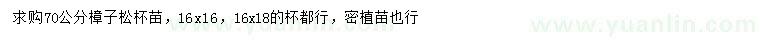 求購70公分樟子松