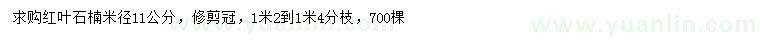 求購米徑11公分紅葉石楠