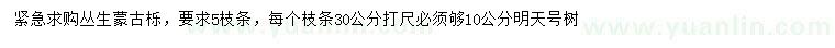 求購5枝條叢生蒙古櫟