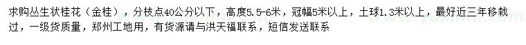 求購(gòu)高5.5-6米叢生金桂