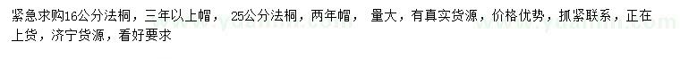 求購(gòu)16、25公分法桐