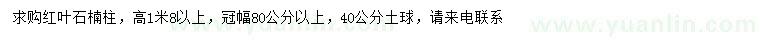 求購(gòu)高1.8米以上紅葉石楠柱