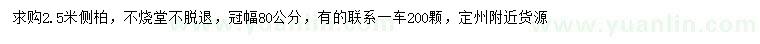 求購(gòu)2.5米側(cè)柏